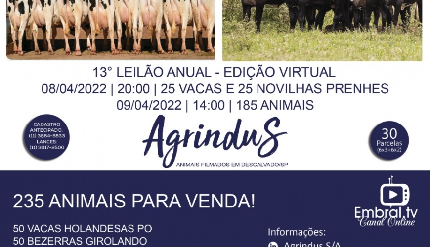 Vem ai mais um Leilão de alto nível da Agrindus