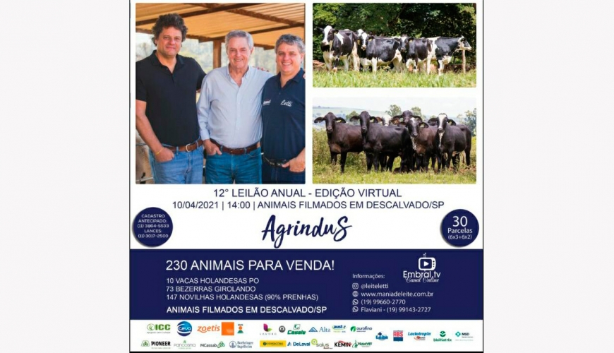 Vem aí o 12º Leilão Anual da Agrindus